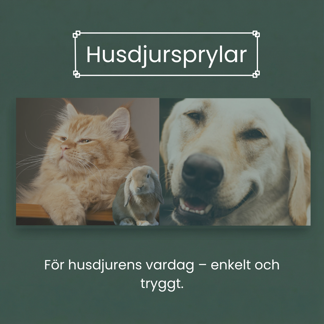 Lemmikkieläinten tarvikkeet